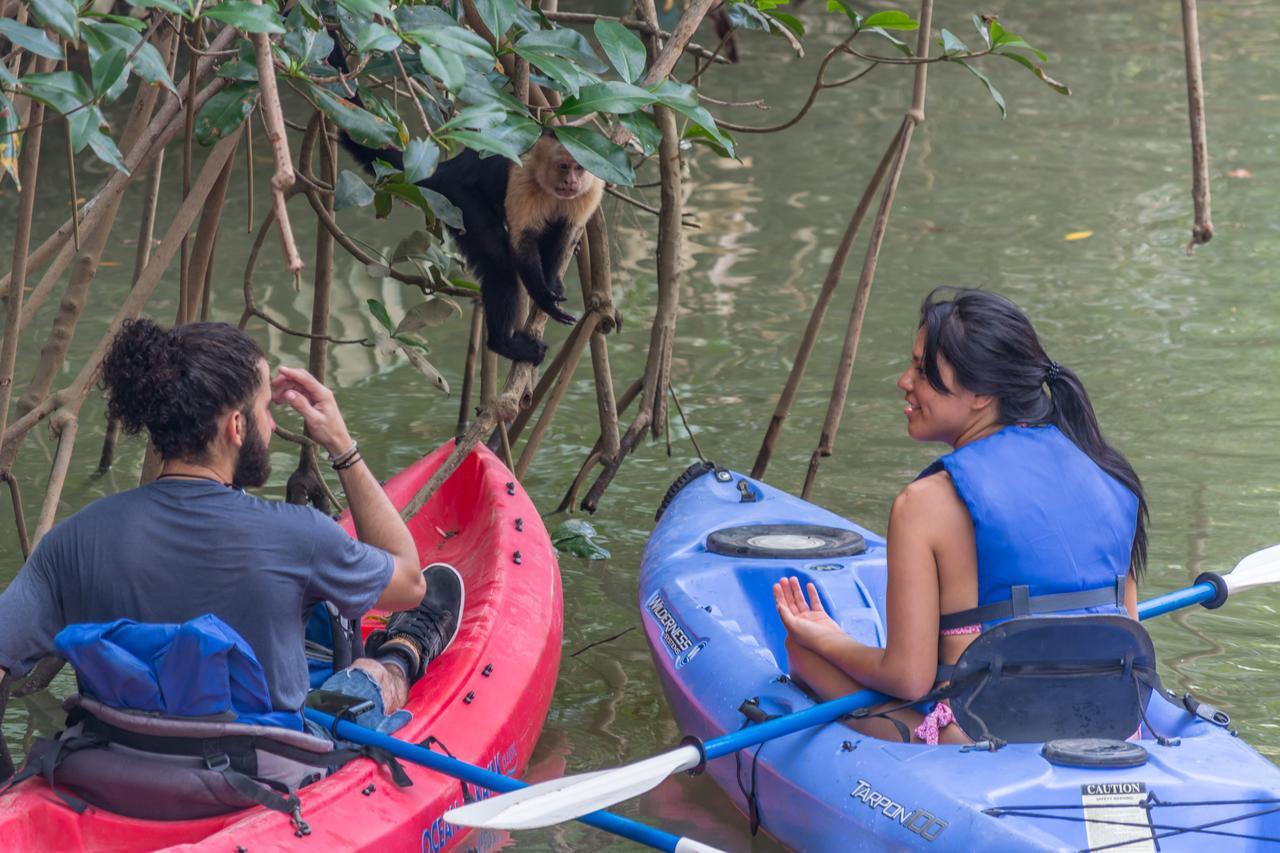 Kayak Lodge Damas 외부 사진