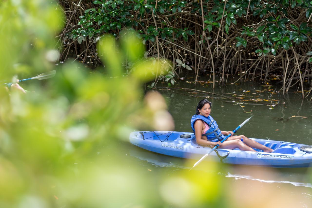 Kayak Lodge Damas 외부 사진