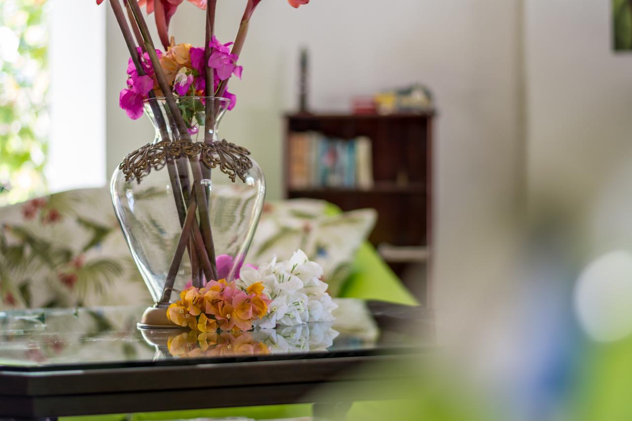 Kayak Lodge Damas 외부 사진